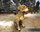 Mascota Rottweiler black and tan en Shroud of the Avatar
