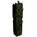 Tall Corner Hedge