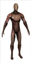Wooden Female Mannequin (Simple Pose)