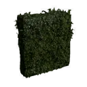 Tall Medium Hedge
