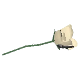 White Rose
