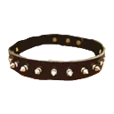 Leather Collar of Motivation