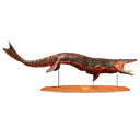 Mosasaurus Trophy