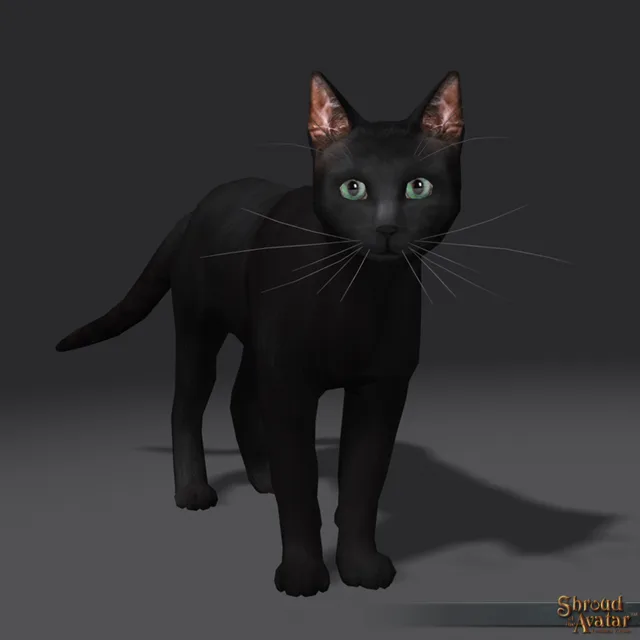 Black Cat Decoration Pet