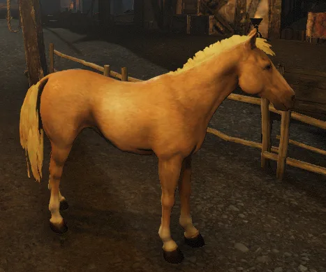 Palomino Horse