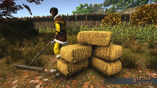 Box Hay Bale 12-Pack