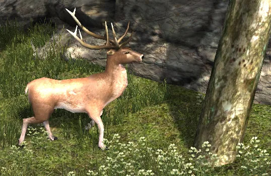 Stag