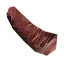 Ammonite Meat