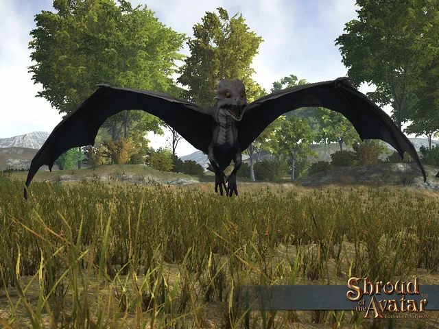 Young Black Dragon