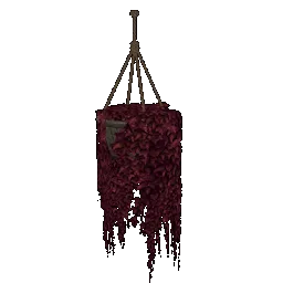 Hanging Potted Red Ivy