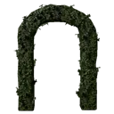 Hedge Archway