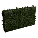 Tall Long Hedge