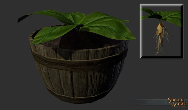 Mandrake Root