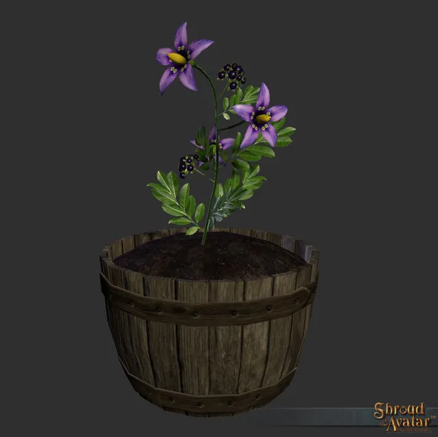 Nightshade