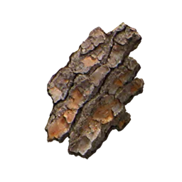Maple Tree Bark