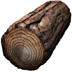 Maple Wood