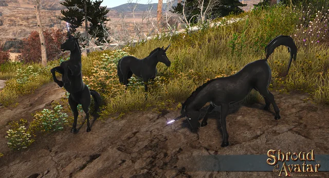 Dark Unicorn