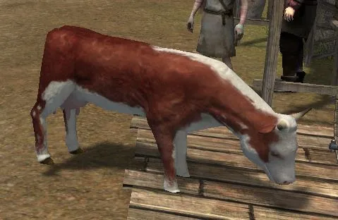 Cow