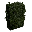 Short Little Hedge
