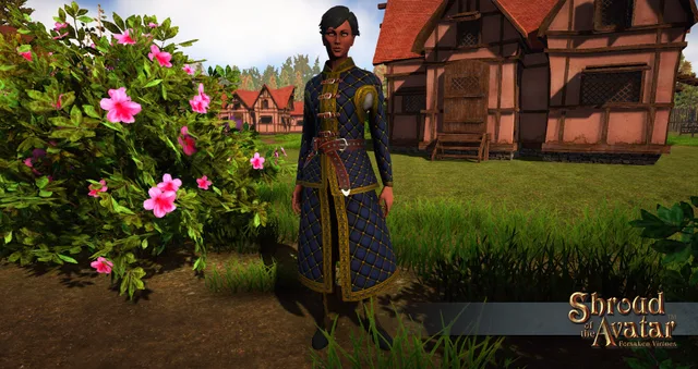 Ornate Buckled Cross Hatched Gambeson Set