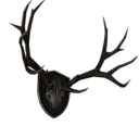 Mounted Stag Antlers
