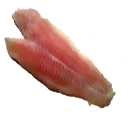 Gar Fillet