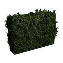 Short Medium Hedge