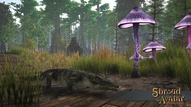 Crocodile