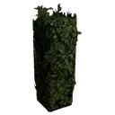 Short Corner Hedge