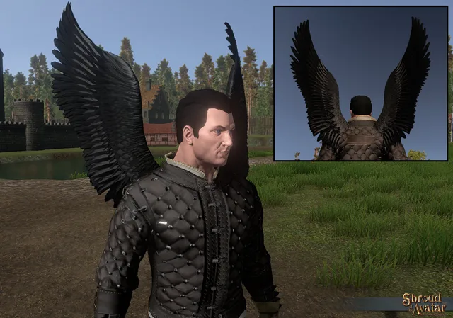 Black Feather Wings