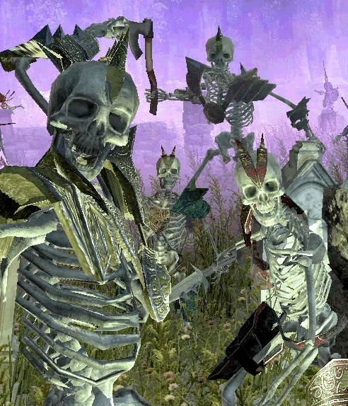 Skeleton