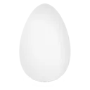 Raw Egg