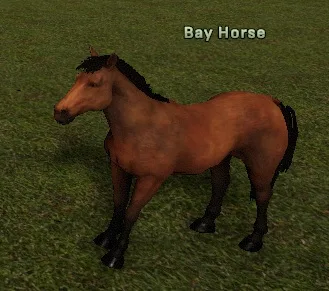 Bay Horse