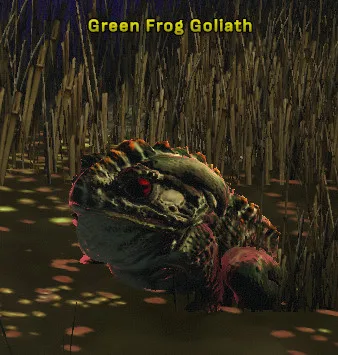Green Frog Goliath