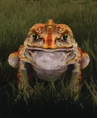 Pale Frog Goliath