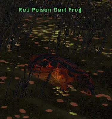 Red Poison Dart Frog