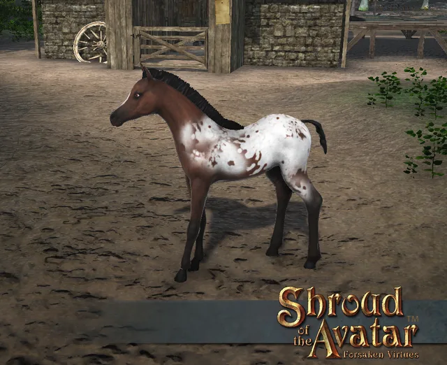 Appaloosa Foal Decoration Pet