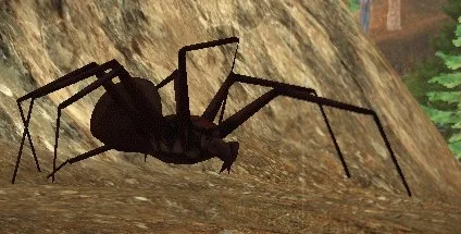 Brown Arachnid