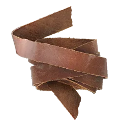 Simple Leather Strap