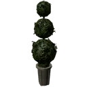 Hedge Sphere Tree