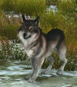 Ferocious Timber Wolf